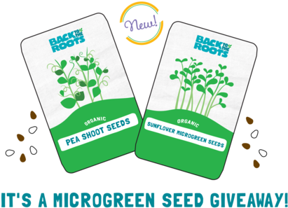 Artboard 1 Copy - Omaha (1000x335), Png Download