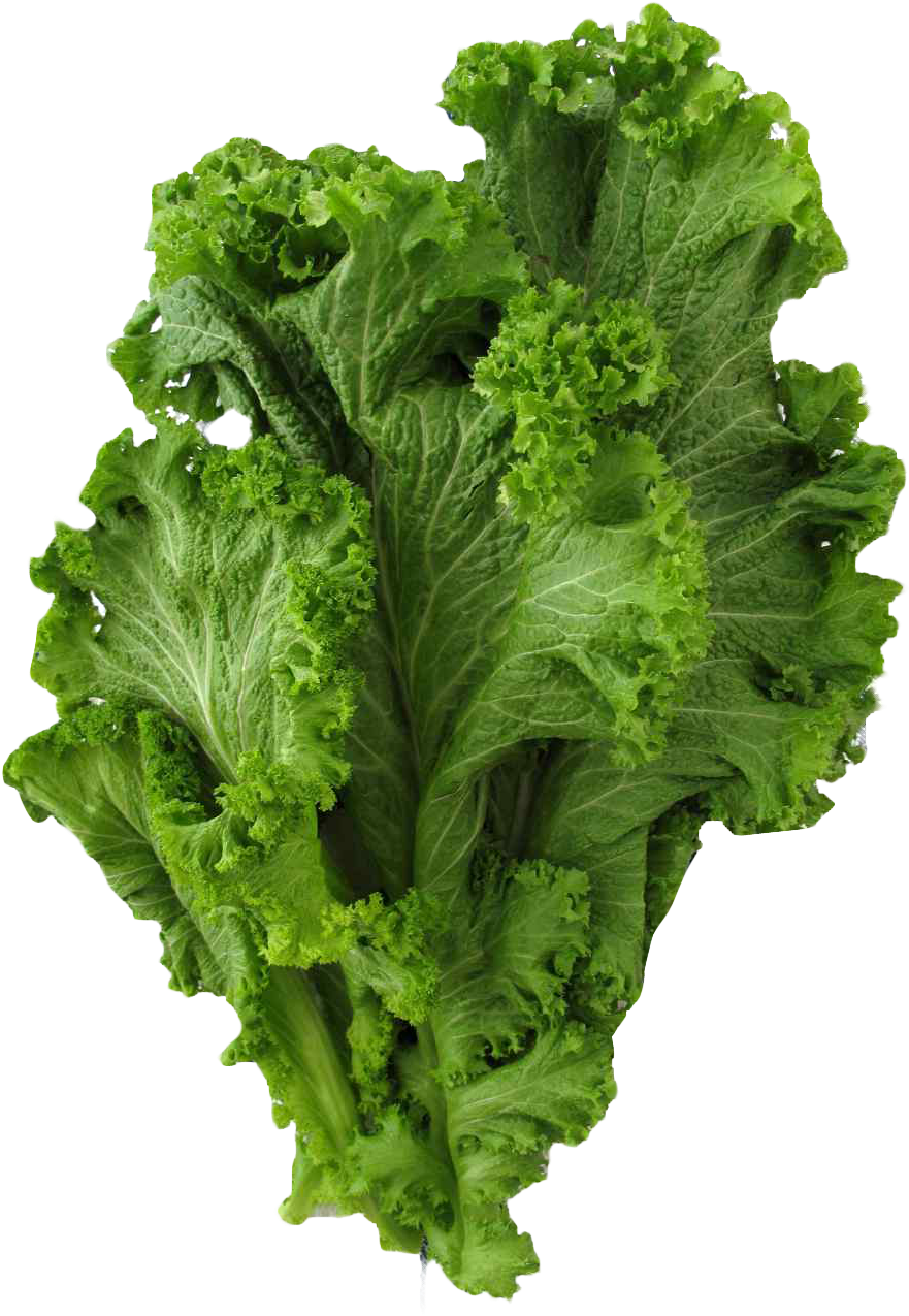 Mustard Greens Png Image - Greens Png (940x1300), Png Download