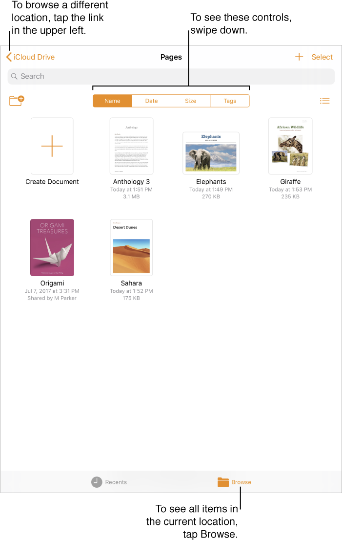 The Browse View Of The Document Manager With A Location - Document (700x1112), Png Download