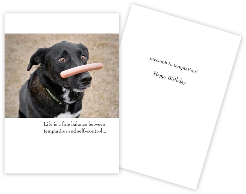 Happy Birthday Card Black Lab - 4-pin Ac Adapter For Vantec Nexstar Nst-360u2 Nst-360uf (1000x733), Png Download