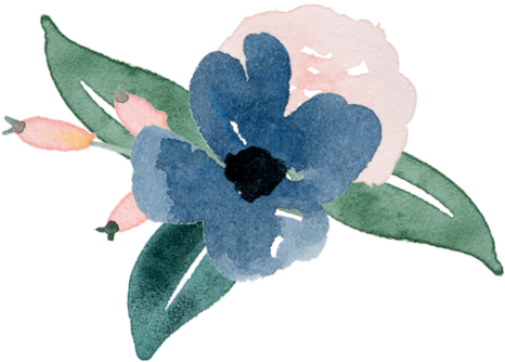 Black-eyed Susan (494x498), Png Download