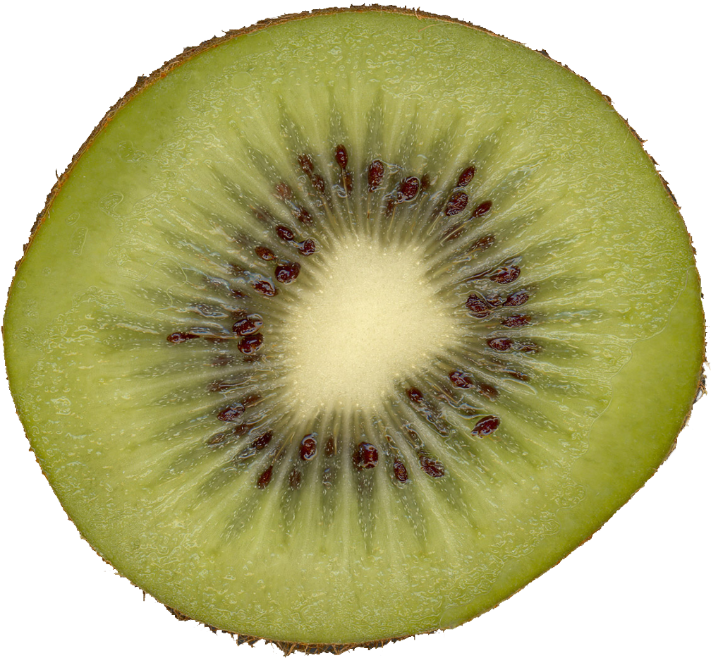 Qubodup-kiwi - Kiwi Slice (1024x1024), Png Download