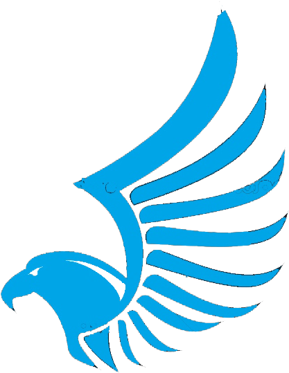 Eagle Wing Insignia 2 (538x604), Png Download