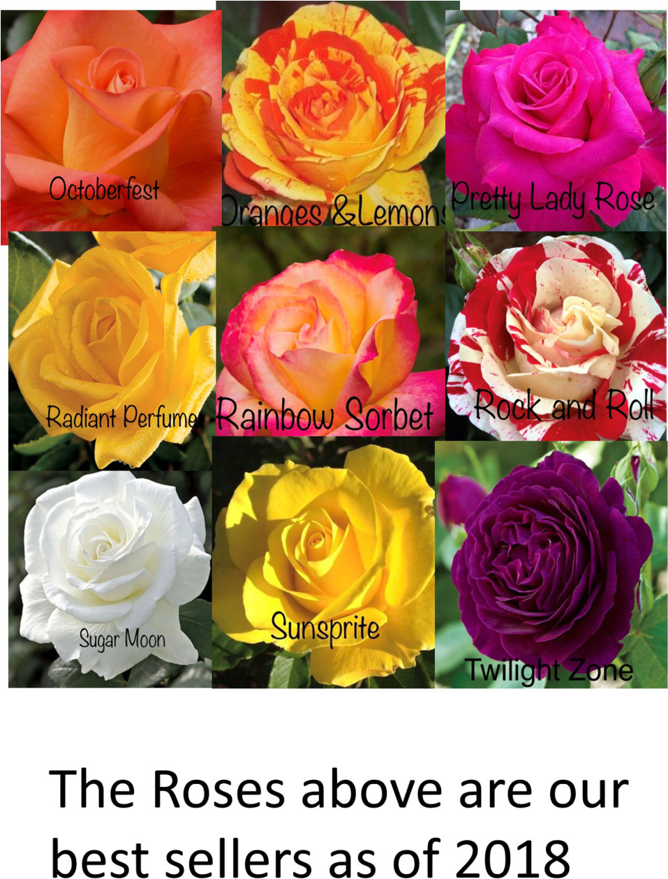 The Soil For Potting Roses - Ivory Bridal Necklace, Chunky Wedding, Pearl Jewelry (1000x1329), Png Download