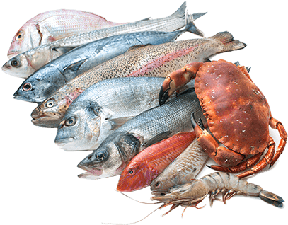 Seafood - Sea Foods Images Png (500x334), Png Download