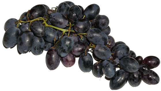 Grapes, Blue, Fruit, Fruits, Eat, Food - Grape (571x340), Png Download