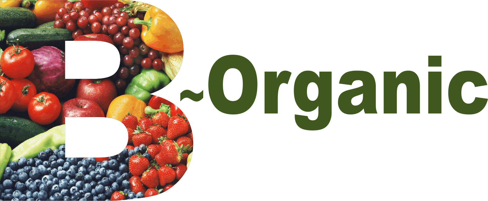 Logos - Physical Organic Chemistry [book] (1575x650), Png Download