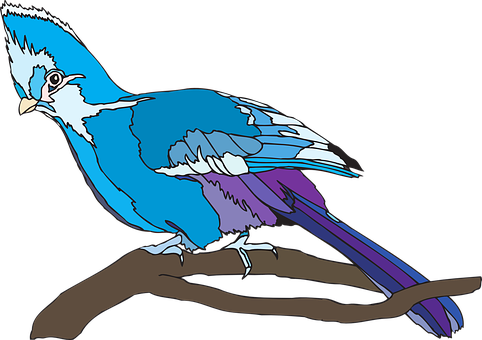 Bird, Perched, Nature, Wildlife - Turaco Clipart (482x340), Png Download