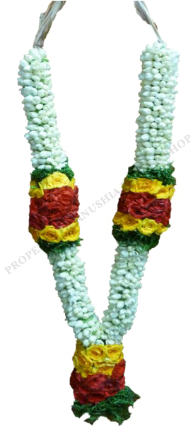Jasmine Garland Png Picture - Garlends Png (600x600), Png Download