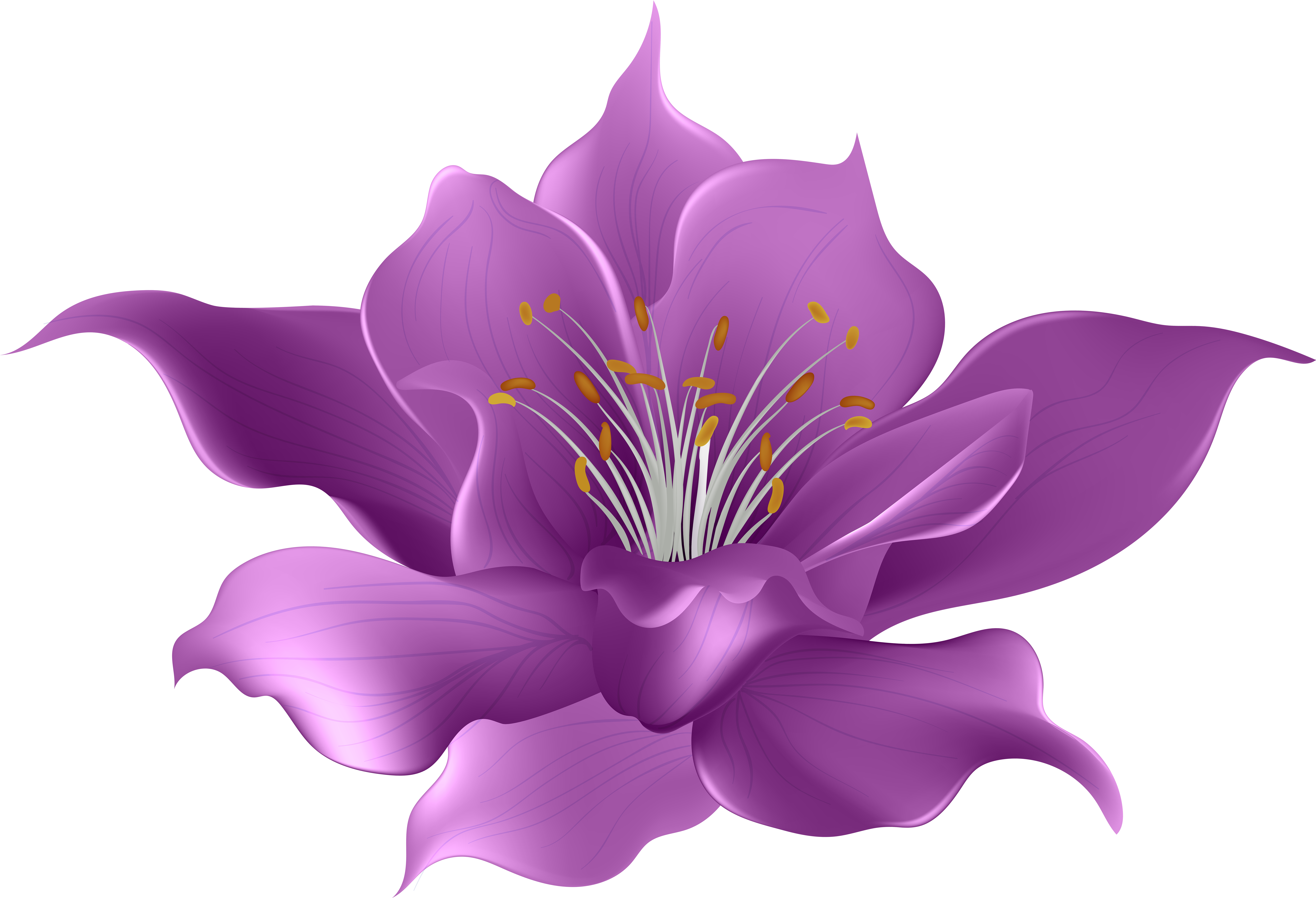 0, - Magnolia Flower (600x414), Png Download