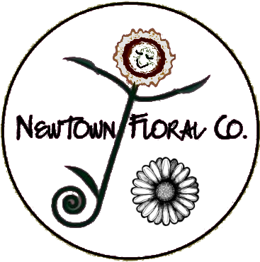 Newtown Floral Company - Zazzle Gänseblümchen-kunst-hölzerne Wand Holzleinwand (400x400), Png Download