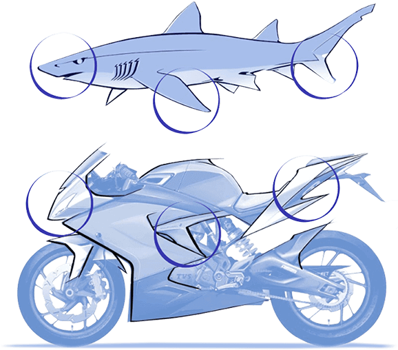 Ye Bike 160kmph Dikha Deti Hai - Tvs 310 Rr Design (738x756), Png Download