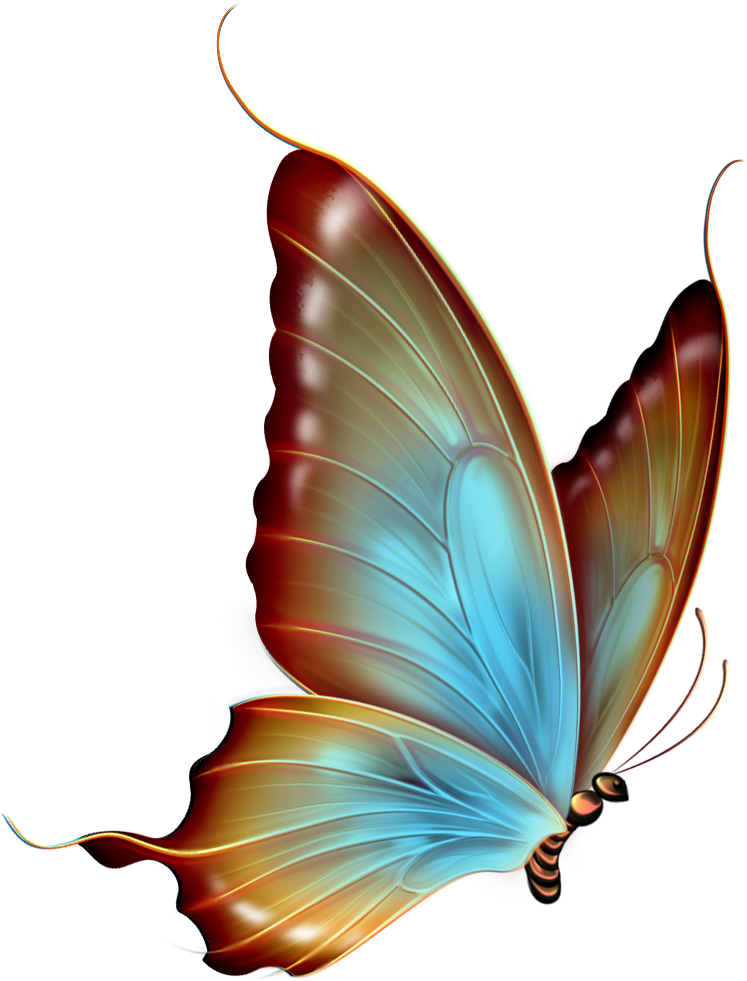 Png Transparent Background Clipart - Transparent Background Butterfly Png (782x1000), Png Download