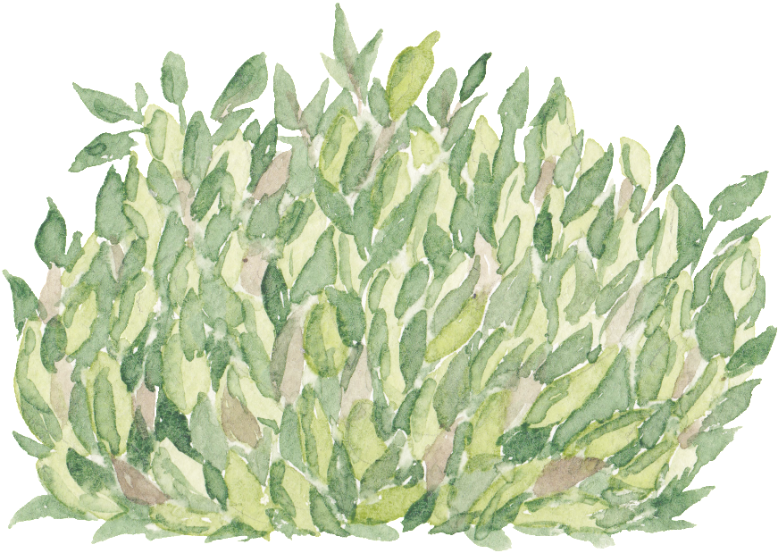 Green Hand Painted Grass Transparent Cartoon Decoration - Cartoon (1024x1024), Png Download