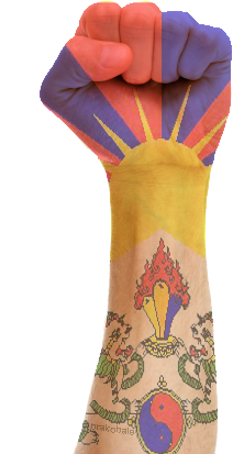 Free Tibet - Embroidery (268x448), Png Download
