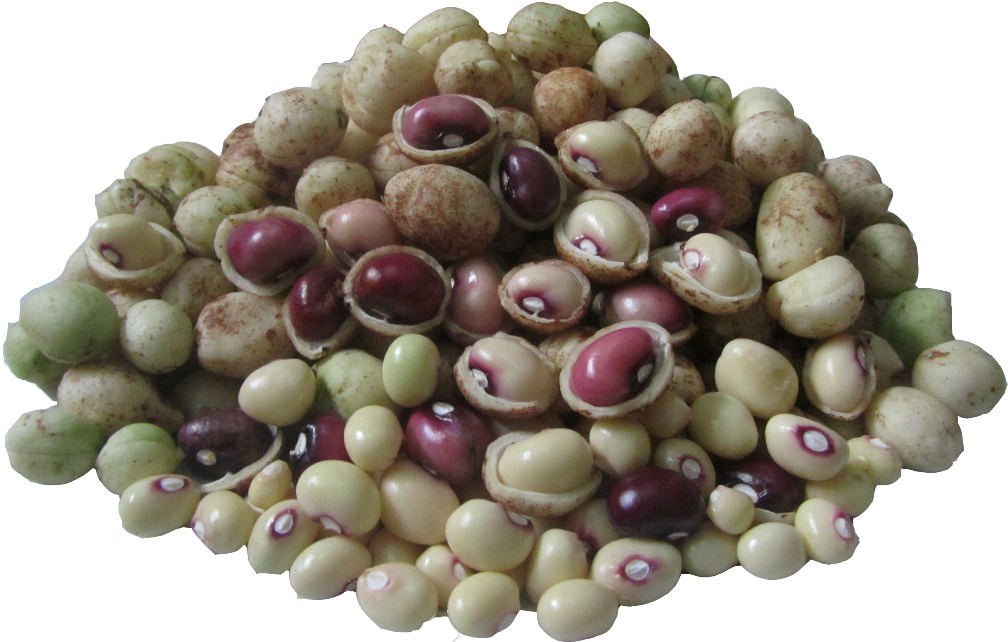 Effect Of Sowing Year And Seedbed Type On Yield And - Water Stress On Physiological And Biochemical Parameters (1024x768), Png Download