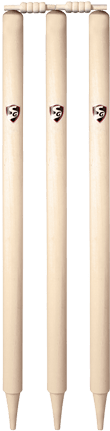 Cricket Stumps Wickets - Ipl Stump Png (477x498), Png Download