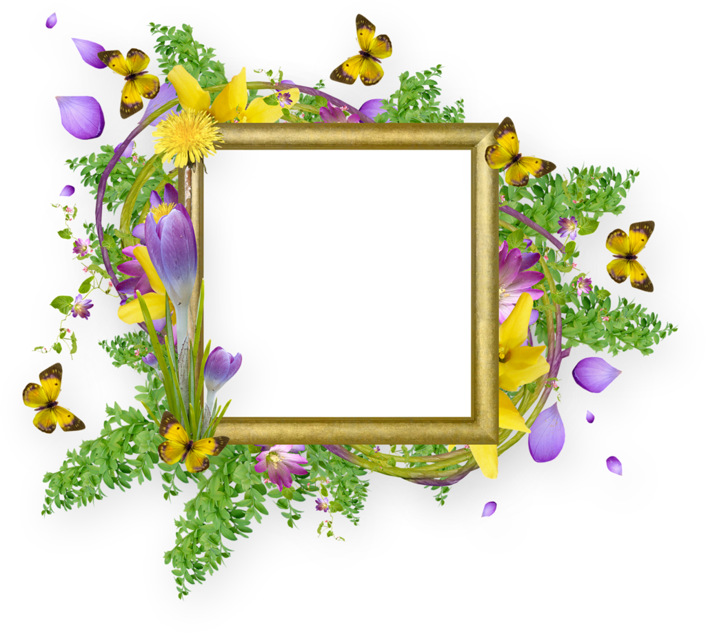 Flower And Butterfly Border Design Png Cadres Et Bordures - Png Butterfly Frame Png (1024x918), Png Download