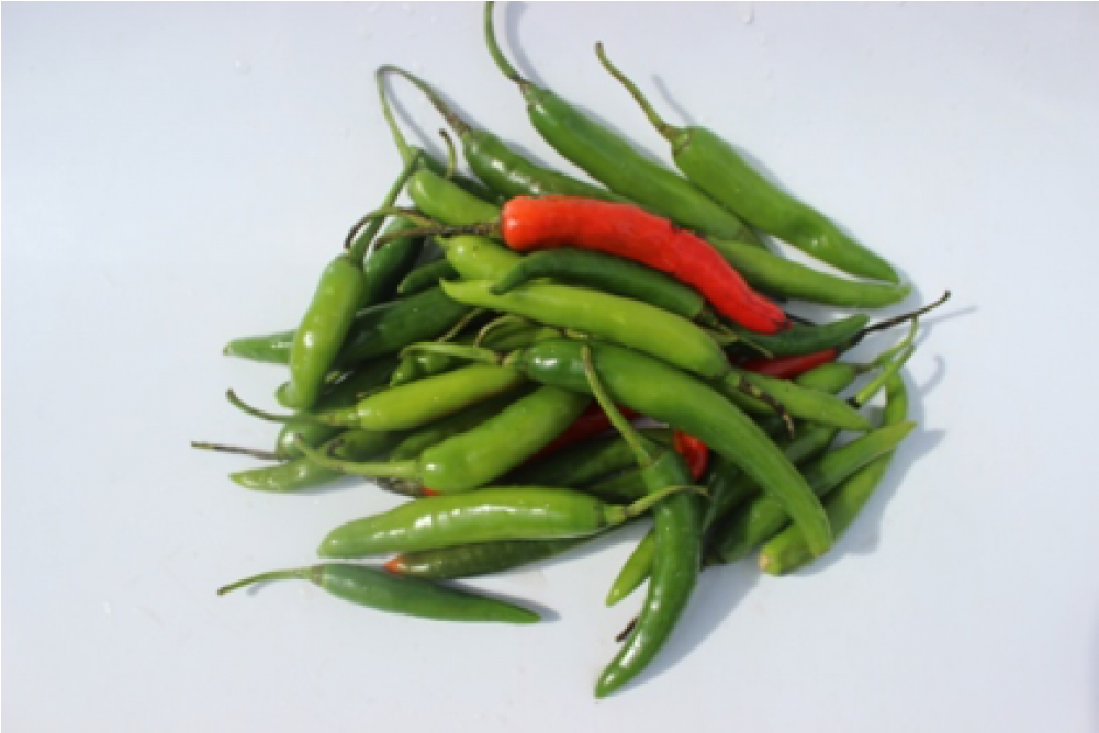 Chilli - Bird's Eye Chili (1000x1231), Png Download
