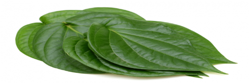Betel - Spinach (500x500), Png Download