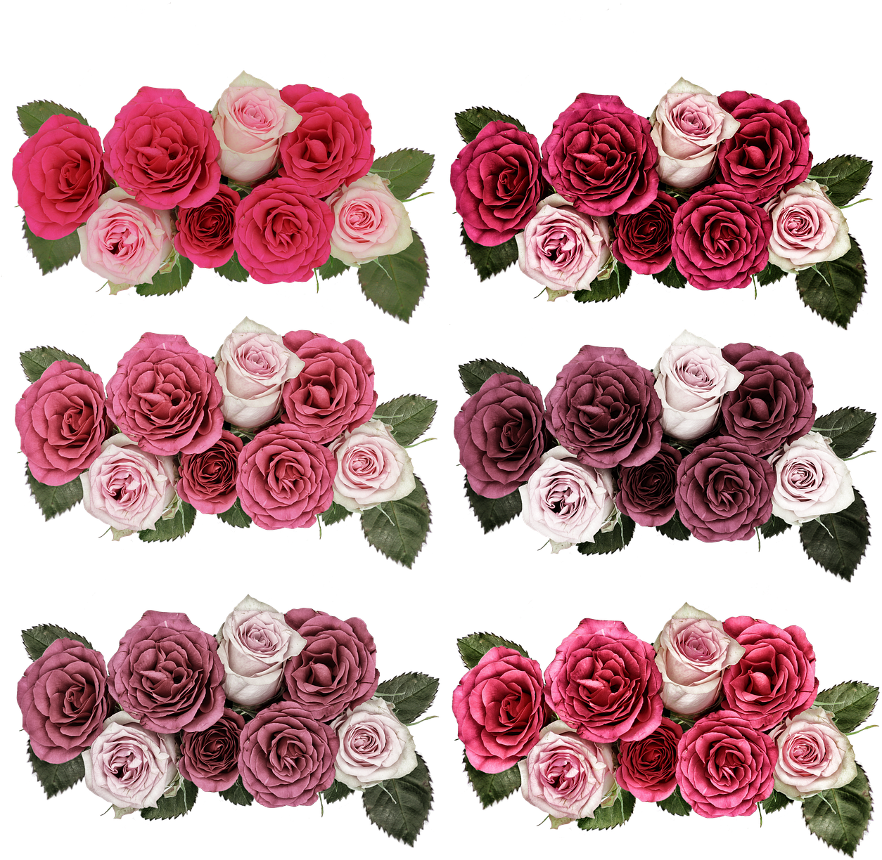 Roses,flowers,rose - Png Jardim De Flores (500x500), Png Download