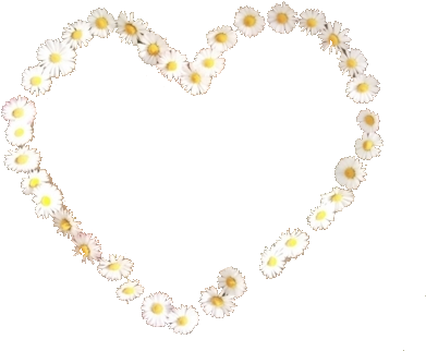 68 Images About 💐tumblr Flower Png💐 On We Heart It - Daisy Boho (500x375), Png Download