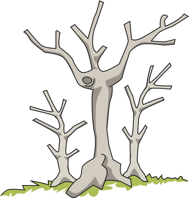 Medium Image - Dead Trees Clip Art (872x800), Png Download