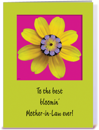 Best Mother In Law Birthday Card (435x429), Png Download