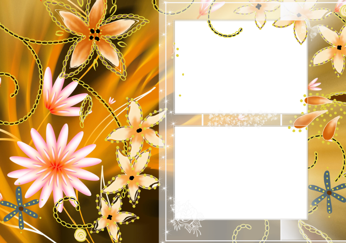 Abstract Floral Frame Png - Adobe Photoshop (1200x843), Png Download