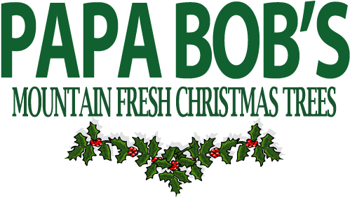 Grandma - Grandpa / Christmas Greetings - Green Holly (527x296), Png Download