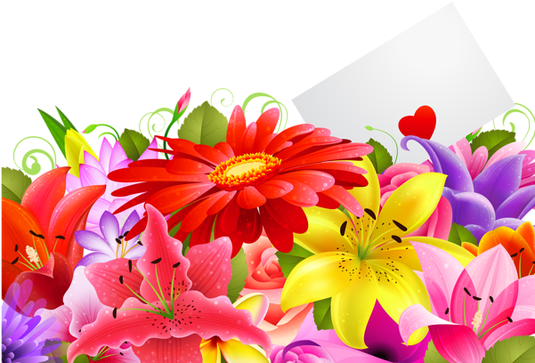 Decoração Floral Png Clipe - Flower Backgrounds (600x430), Png Download