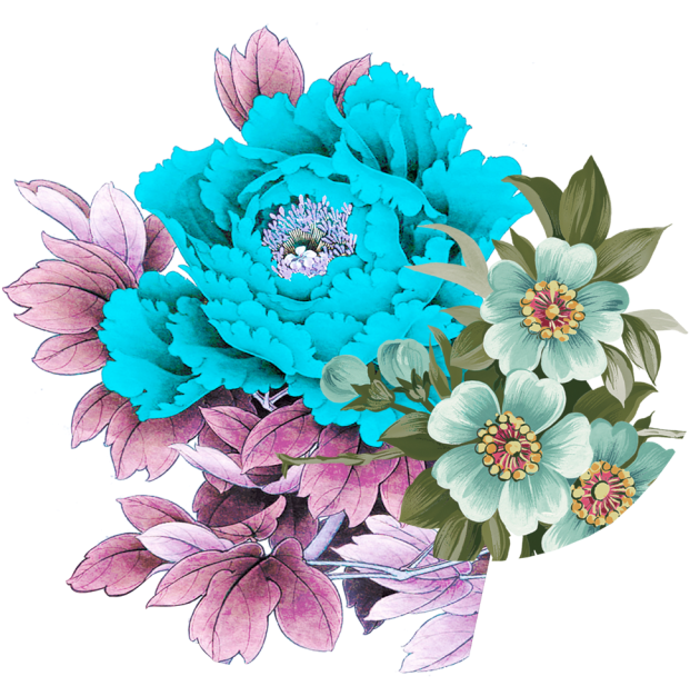 Flower Decoration Png - Moutan Peony (640x640), Png Download