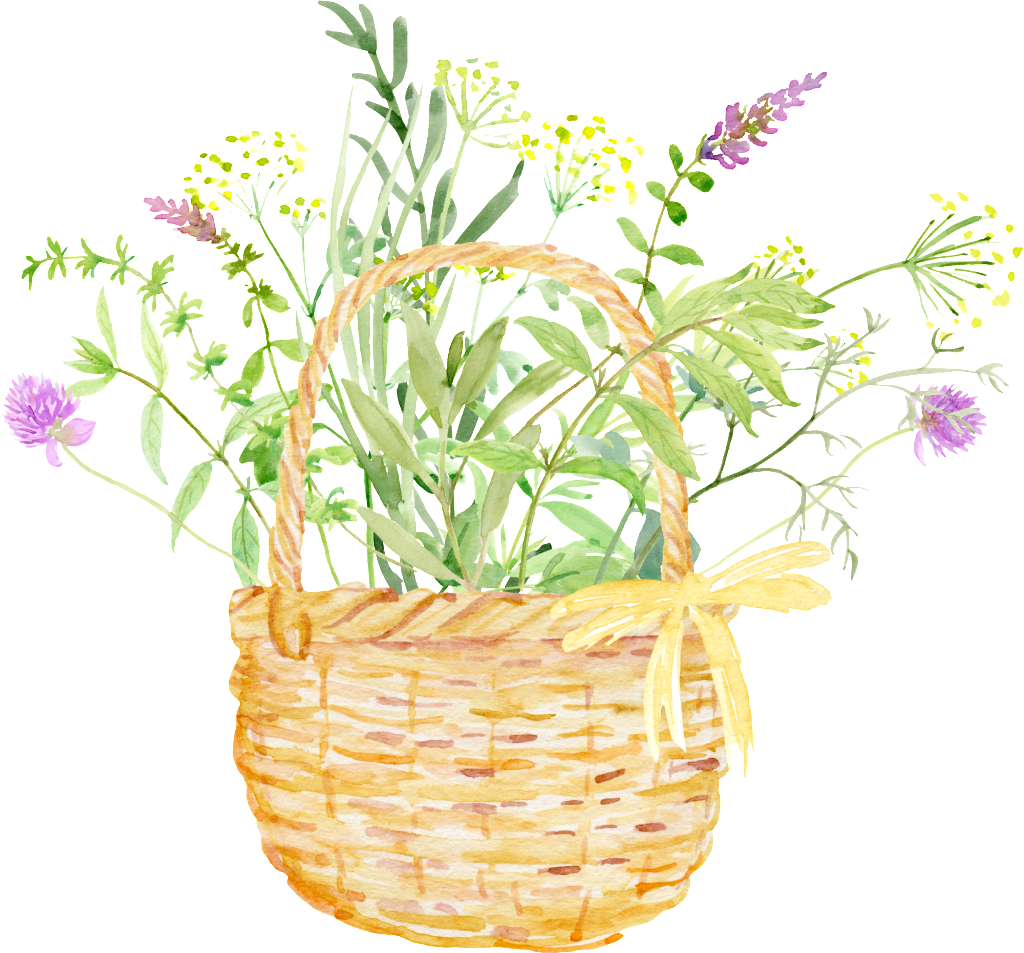 Bamboo Basket Flower Cartoon Transparent - Green (1024x953), Png Download