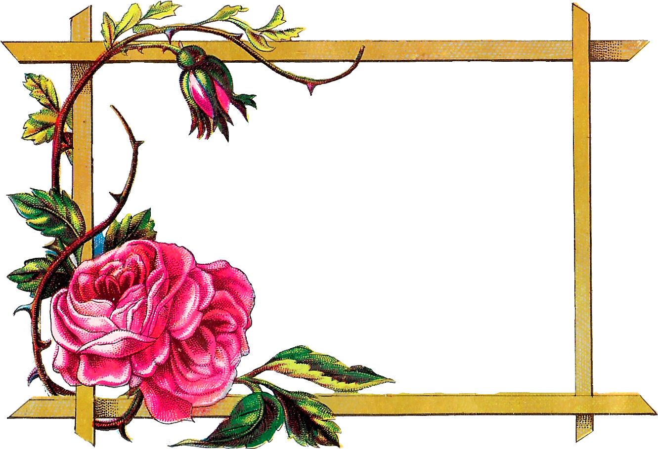 Flower Frame Design Png » Path Decorations Pictures (1350x940), Png Download