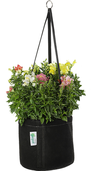 Flowerpot (600x600), Png Download