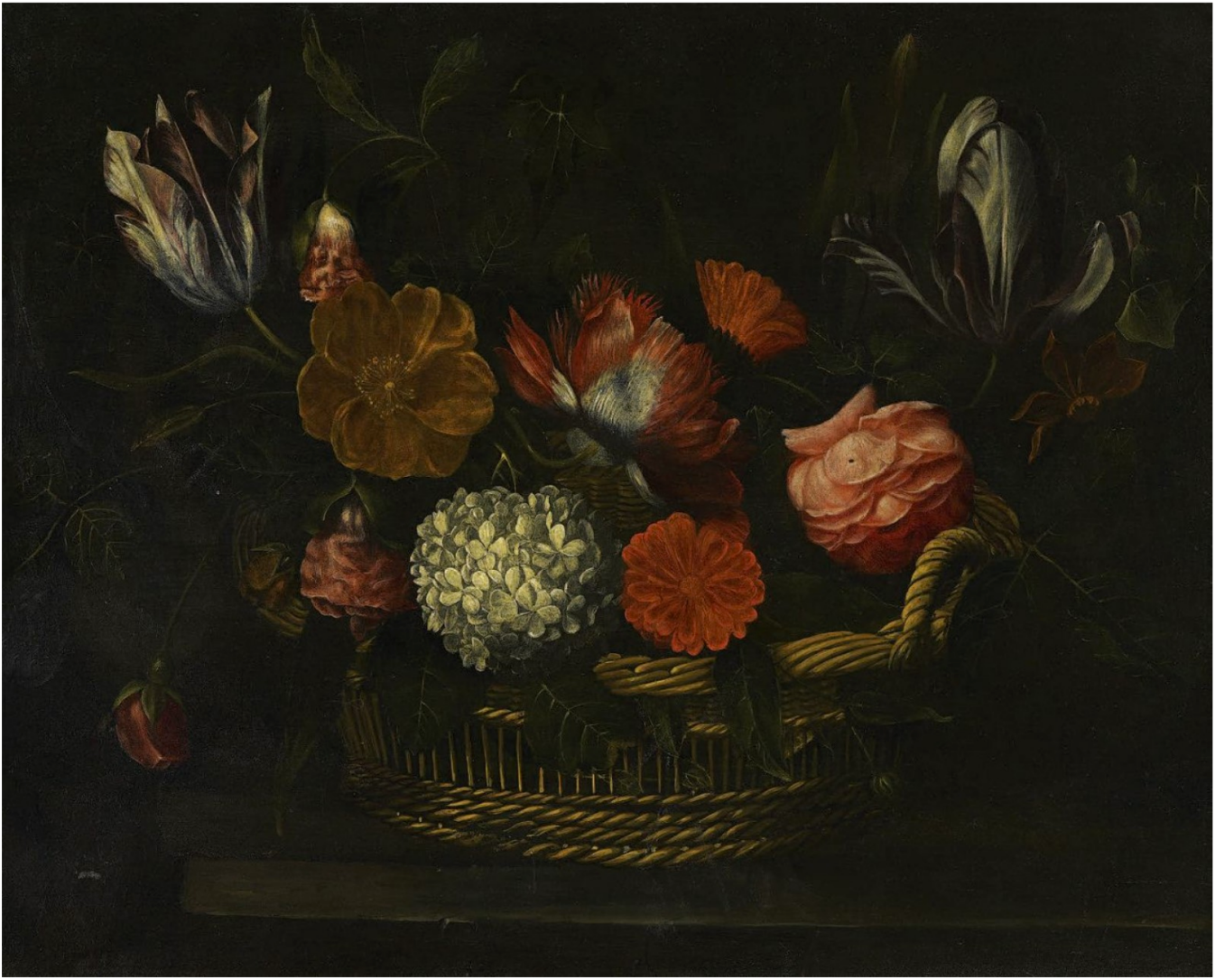 Frans Van Everbroeck - Still Life Photography (1346x1085), Png Download