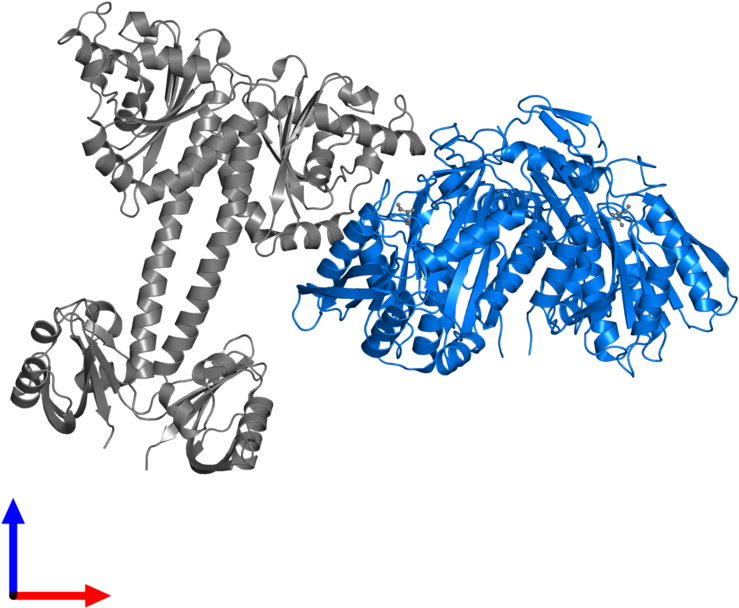 <div Class='caption-body'>pdb Entry 4lry Contains 2 - Illustration (800x800), Png Download