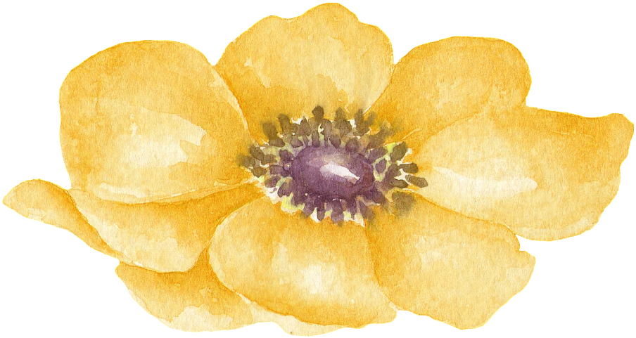 Yellow Floral Transparent Decorative - Watercolor Lilac Png (1024x592), Png Download