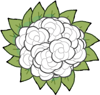 Bless Boquet - Carnation (372x372), Png Download