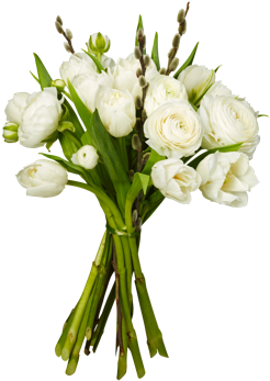 White Tulip Bouquet - Bouquet (450x450), Png Download