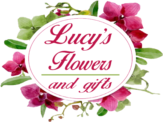 Store Logo Store Logo (552x426), Png Download