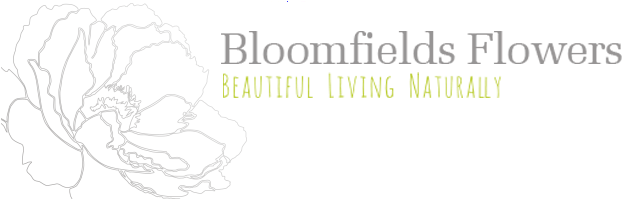Flowers Logo Png (629x198), Png Download