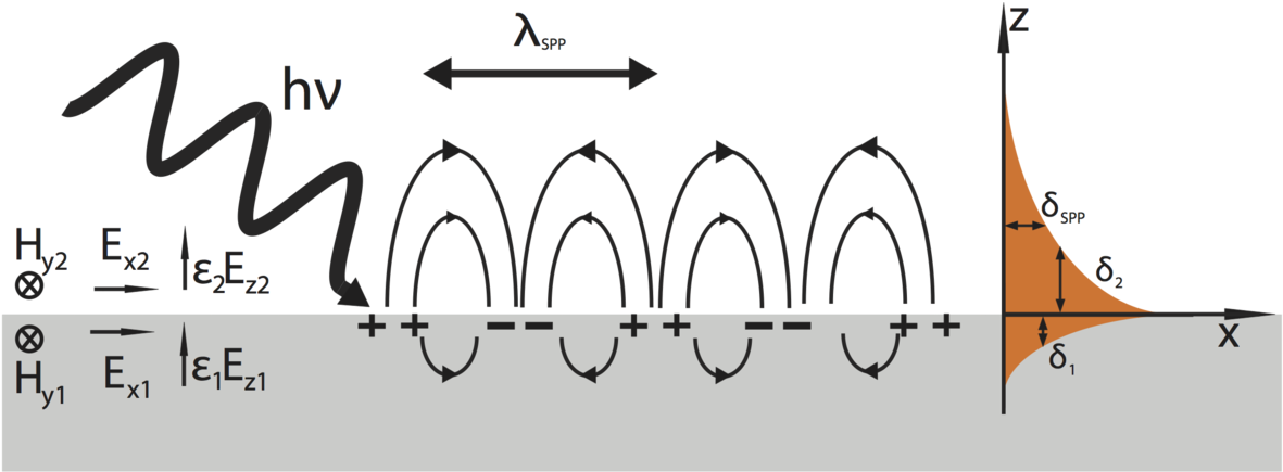 Surface Plasmon (1200x463), Png Download