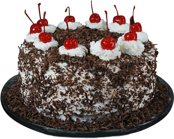 Download Hd Black Forest Cake Special Cake Transparent Png Image Nicepng Com