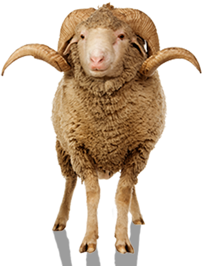 Bakra Eid Editing Coming Soon Bakraeid Special Editing - Bakra Eid Photo Editing (1256x1600), Png Download