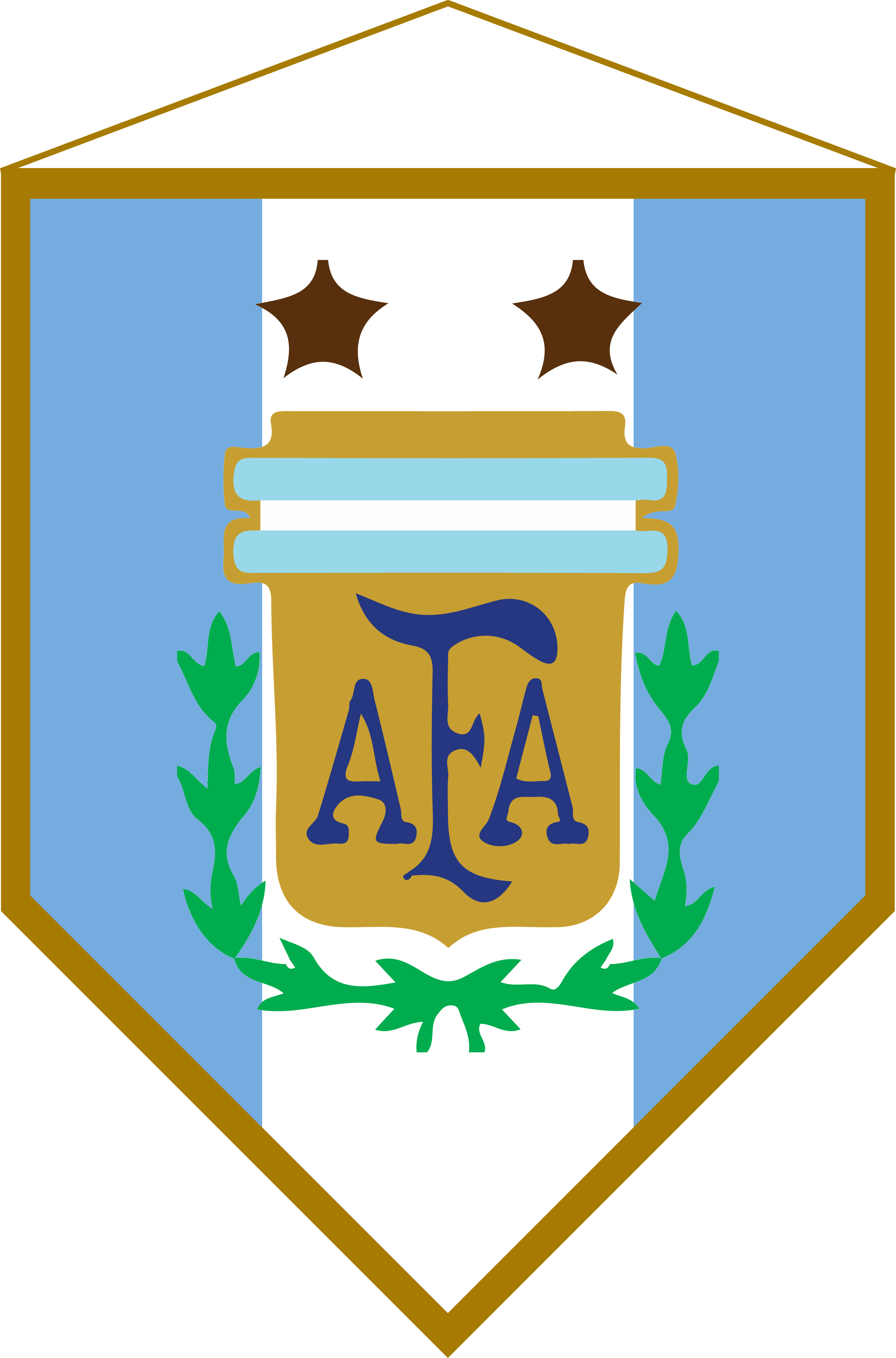 Logo Banderín Argentina - Argentina National Football Team (3647x5527), Png Download
