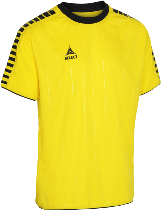 Player Shirt S/s Argentina - Yellow Shirt Sports (375x478), Png Download