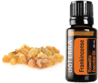 Description - Doterra Frankincense (504x520), Png Download