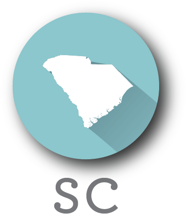 South Carolina - South Carolina Purple Black Shower Curtain (390x473), Png Download