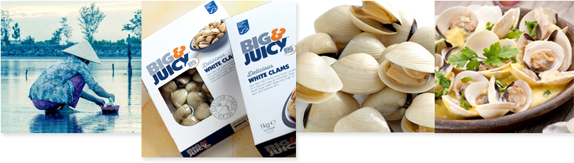 Clams - Big Prawn Co. Big & Juicy Delicious White Clams (823x260), Png Download
